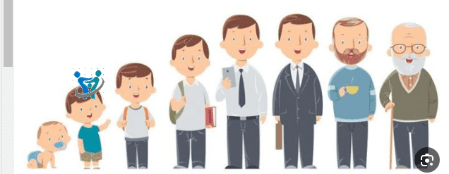 مراحل نمو الإنسان بالصور للاطفال 1 مراحل نمو الإنسان بالصور للاطفال